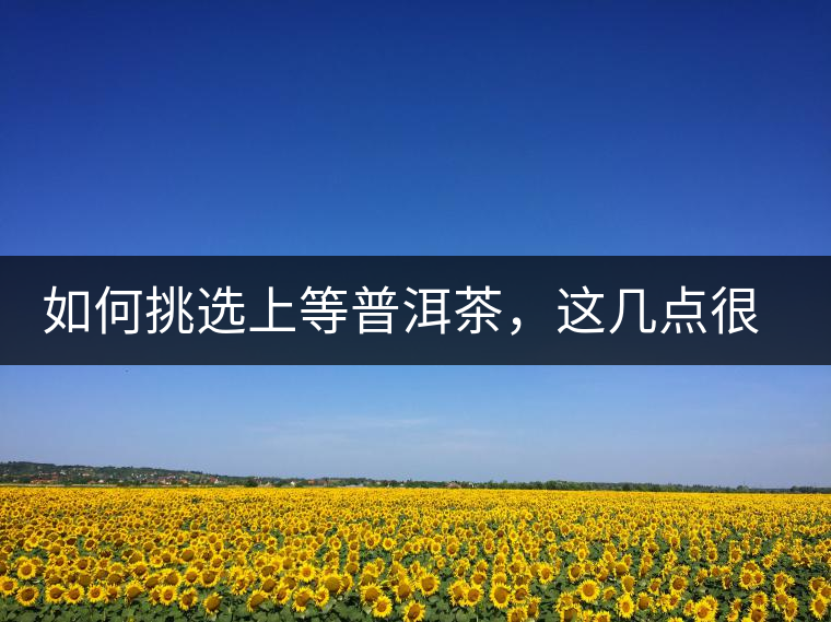 如何挑選上等普洱茶，這幾點(diǎn)很關(guān)鍵