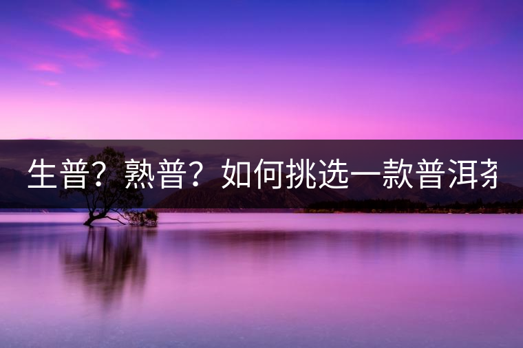 生普？熟普？如何挑選一款普洱茶？