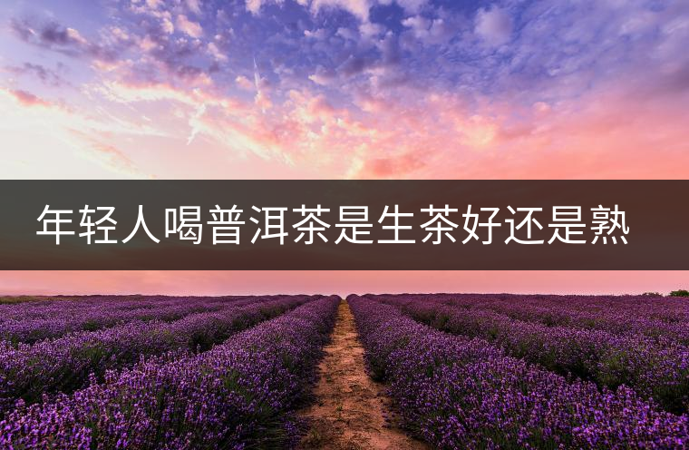 年輕人喝普洱茶是生茶好還是熟茶好？該怎么選擇？