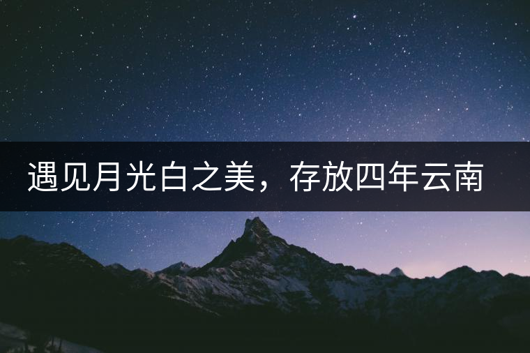 遇見月光白之美，存放四年云南古樹白茶