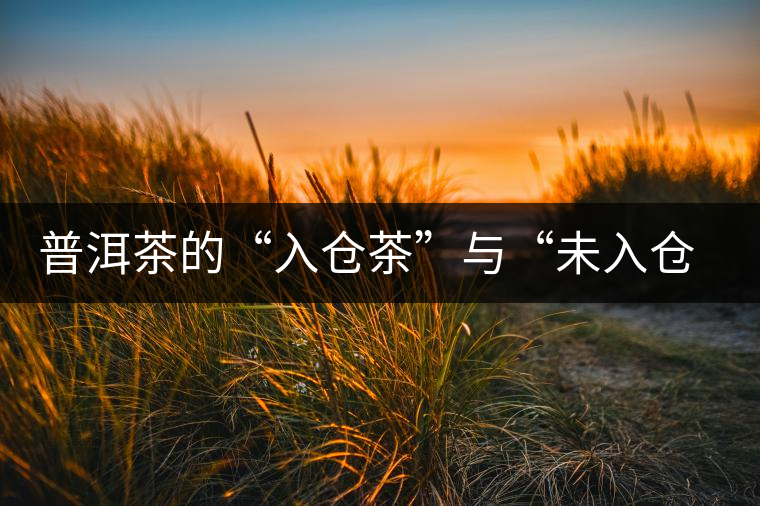 普洱茶的“入倉茶”與“未入倉茶”如何區(qū)分，你造嗎？
