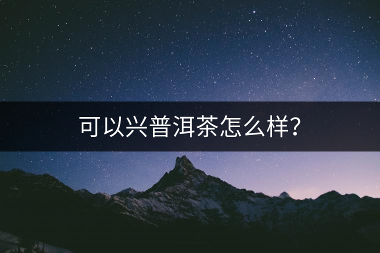 可以興普洱茶怎么樣？