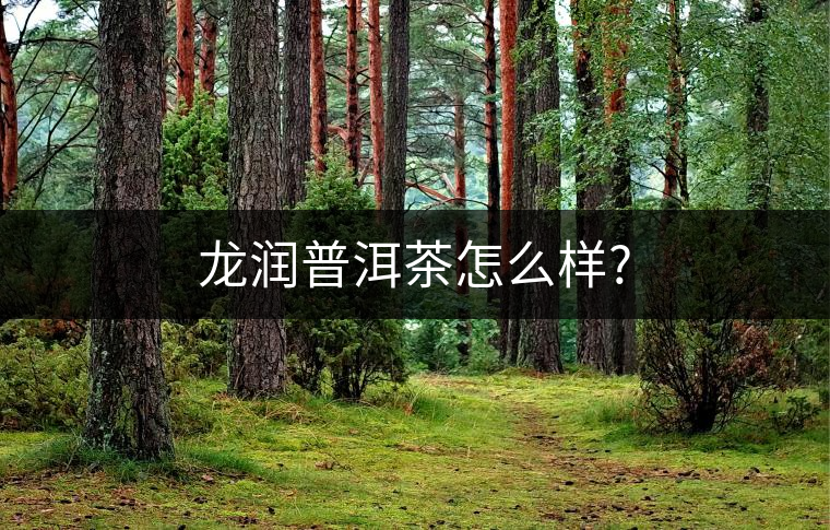 龍潤普洱茶怎么樣? 龍潤普洱茶怎么樣?