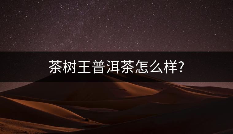茶樹(shù)王普洱茶怎么樣?