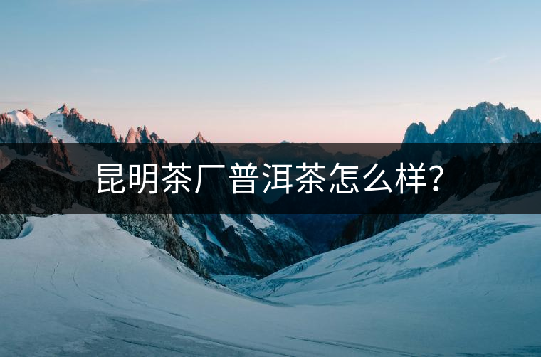 昆明茶廠普洱茶怎么樣？