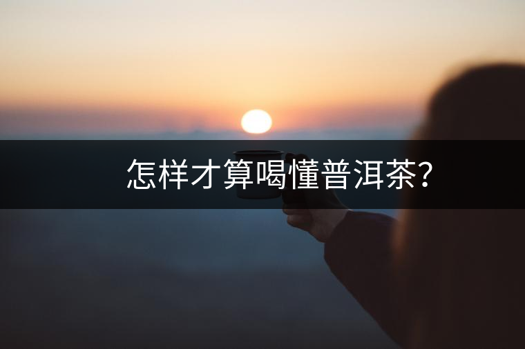 　怎樣才算喝懂普洱茶？