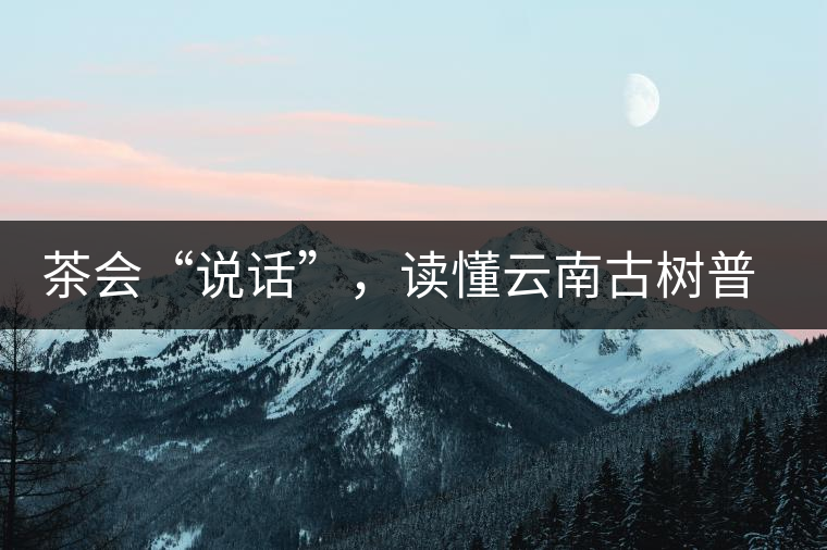 茶會“說話”，讀懂云南古樹普洱茶的秘訣