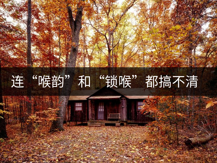 連“喉韻”和“鎖喉”都搞不清楚，就不要說懂普洱茶！