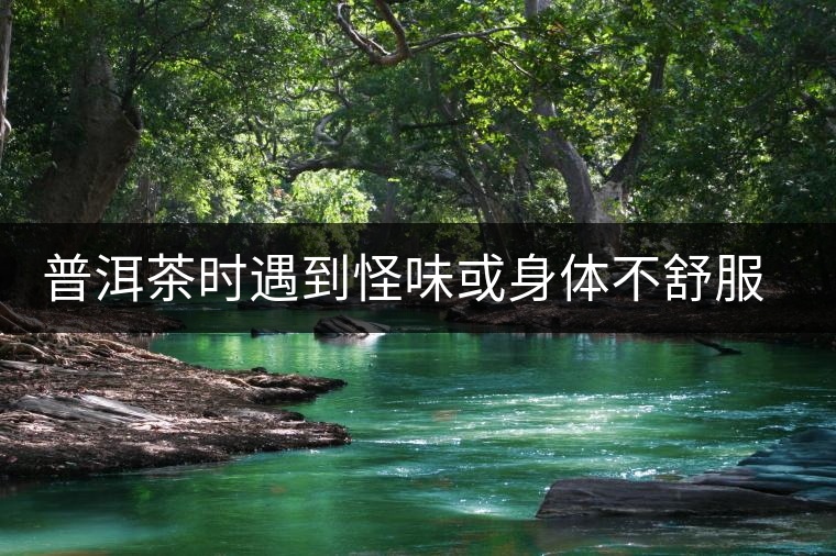 普洱茶時遇到怪味或身體不舒服時，怎么破？