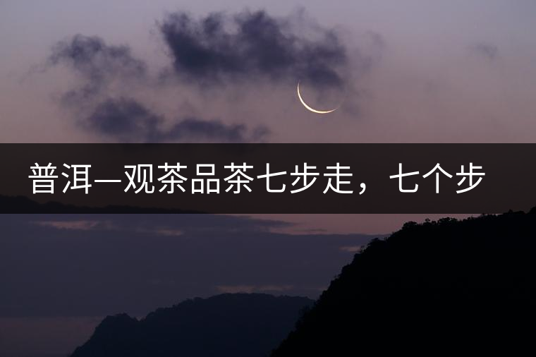 普洱—觀茶品茶七步走，七個(gè)步驟，喝懂普洱茶