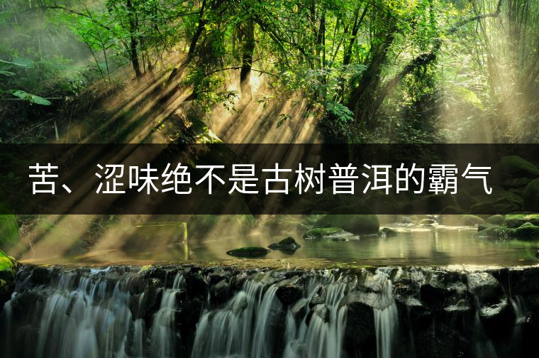 苦、澀味絕不是古樹普洱的霸氣，那也叫懂普洱茶，別逗了！