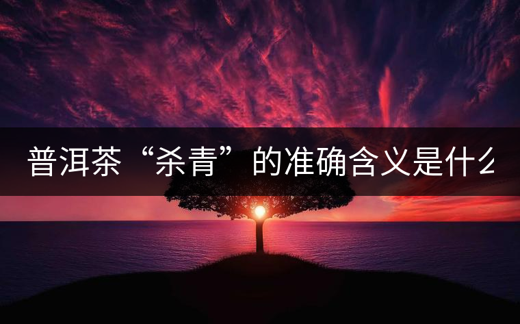 普洱茶“殺青”的準確含義是什么？