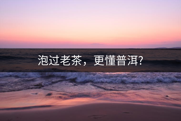 泡過老茶，更懂普洱?