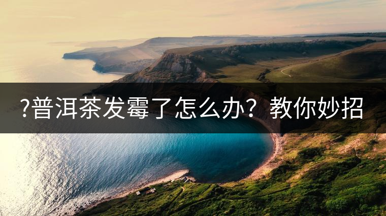 ?普洱茶發(fā)霉了怎么辦？教你妙招應(yīng)對發(fā)霉的普洱茶！