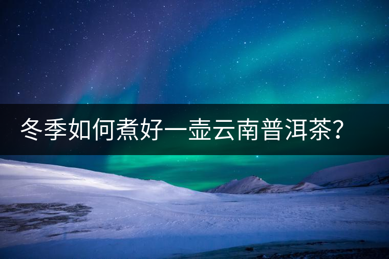 冬季如何煮好一壺云南普洱茶？記好這份煮茶攻略
