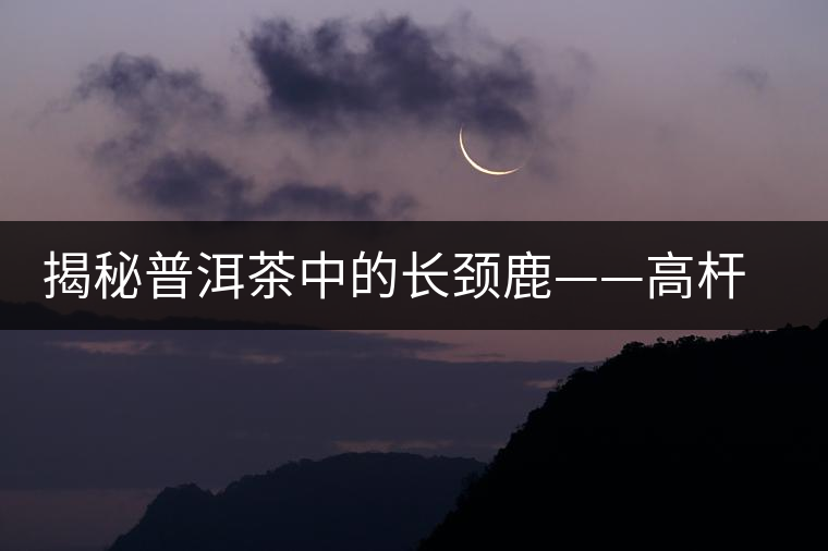 揭秘普洱茶中的長(zhǎng)頸鹿——高桿古樹(shù)茶 揭秘普洱茶中的長(zhǎng)頸鹿——高桿古樹(shù)茶