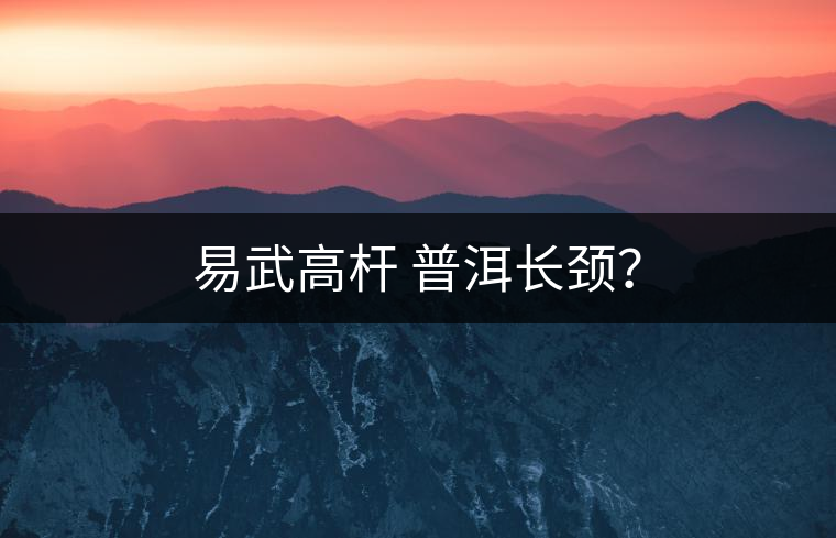 易武高桿 普洱長(zhǎng)頸？