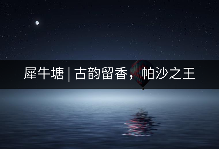 犀牛塘 | 古韻留香，帕沙之王