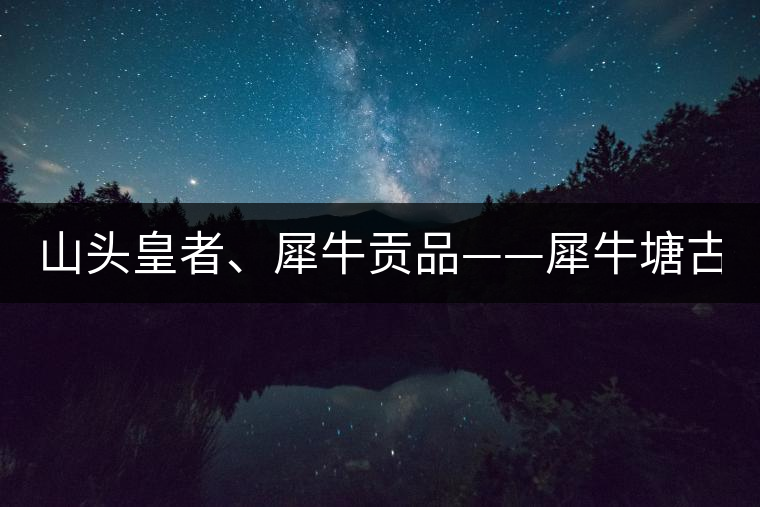 山頭皇者、犀牛貢品——犀牛塘古樹茶！