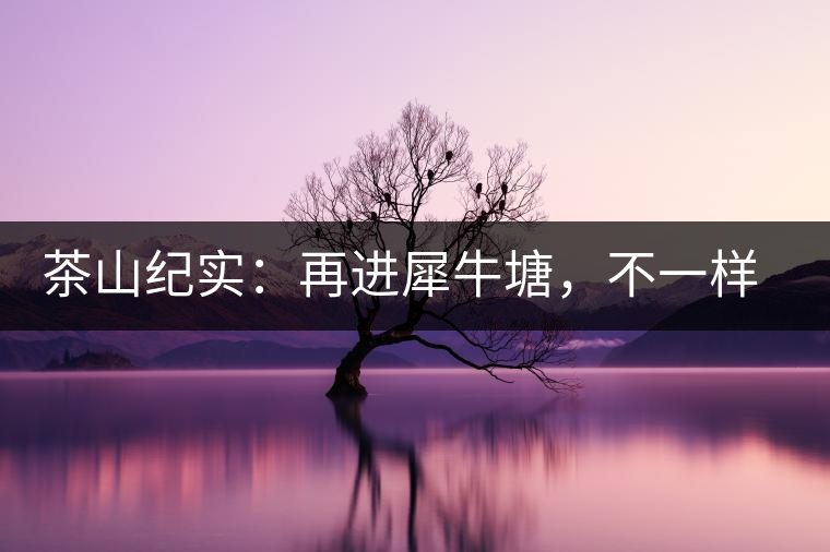 茶山紀實：再進犀牛塘，不一樣的感覺；菁瑤可以預見的豐收年