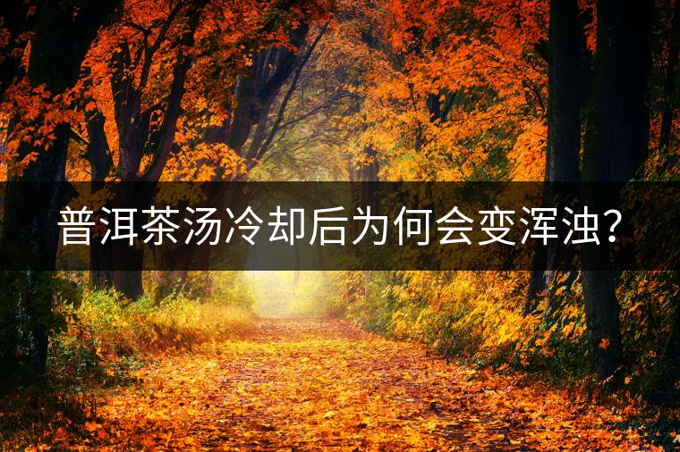 普洱茶湯冷卻后為何會(huì)變渾濁？