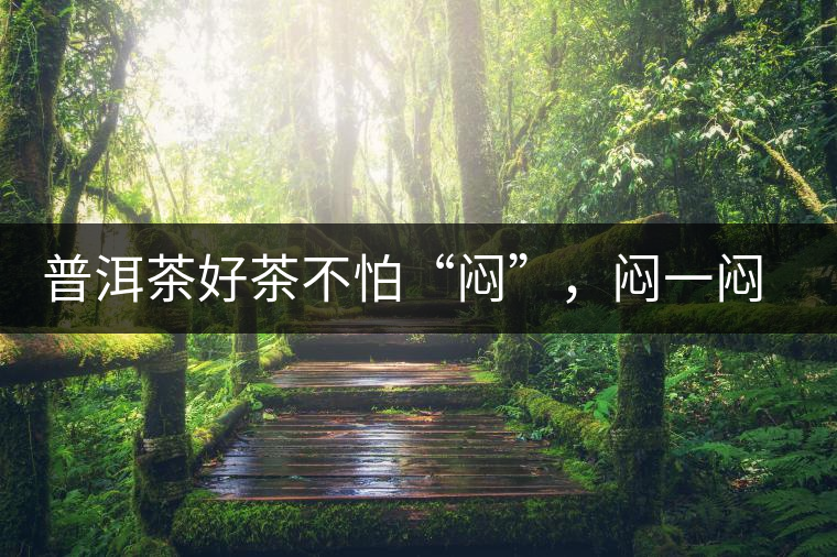 普洱茶好茶不怕“悶”，悶一悶看本味