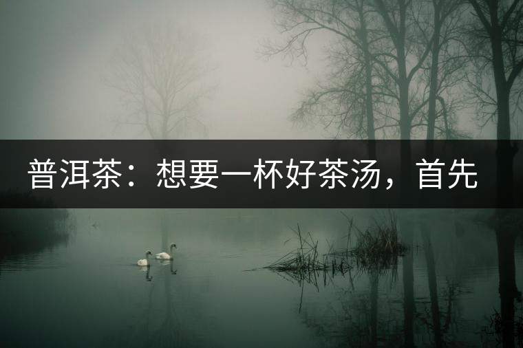 普洱茶：想要一杯好茶湯，首先要會(huì)醒茶