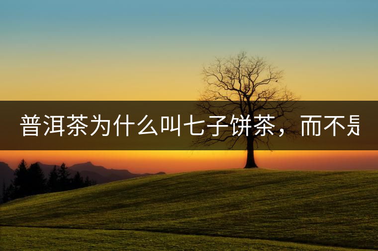 普洱茶為什么叫七子餅茶，而不是六子餅、八子餅......？