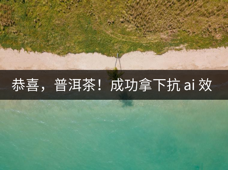 恭喜，普洱茶！成功拿下抗 ai 效果第二名！