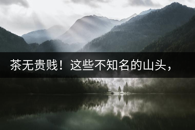 茶無(wú)貴賤！這些不知名的山頭，其實(shí)也產(chǎn)優(yōu)質(zhì)普洱茶！