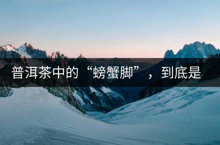普洱茶中的“螃蟹腳”，到底是什么？如何辨別？