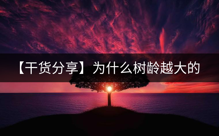 【干貨分享】為什么樹齡越大的普洱生茶，苦味越容易化掉？