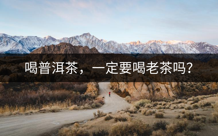 喝普洱茶，一定要喝老茶嗎？