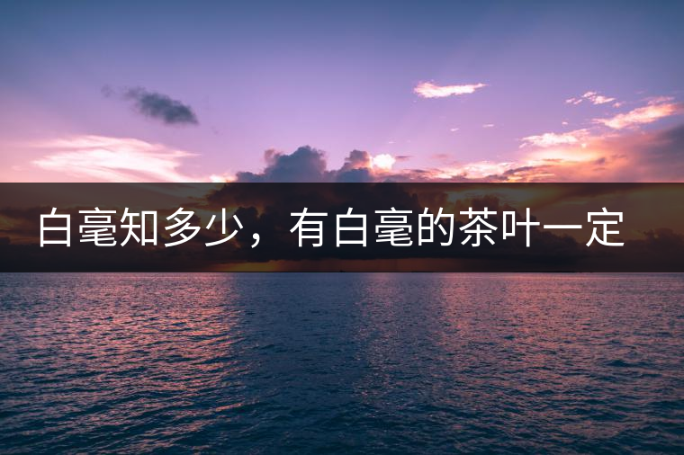 白毫知多少,有白毫的茶葉一定好嗎? 白毫知多少,有白毫的茶葉一定好嗎?