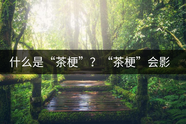 什么是“茶?！保俊安韫！睍绊懫斩杵焚|？