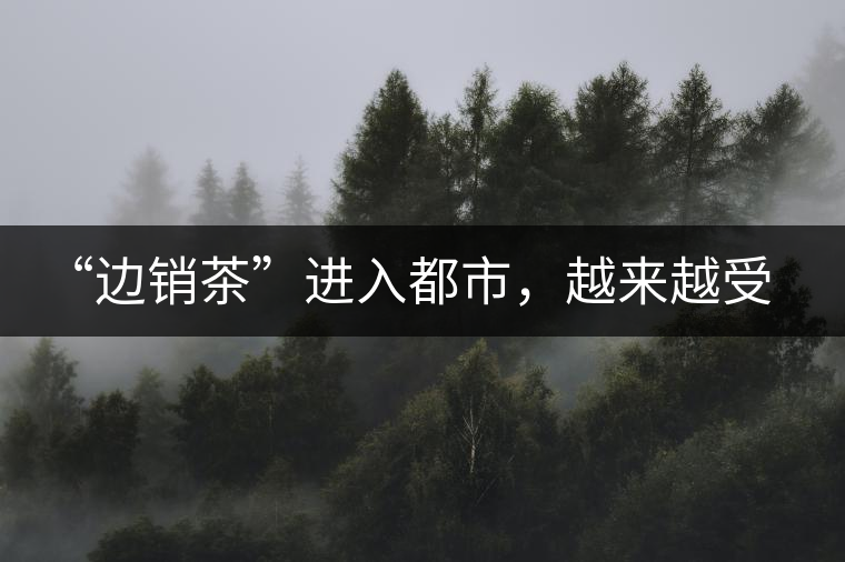 “邊銷(xiāo)茶”進(jìn)入都市，越來(lái)越受人們青睞