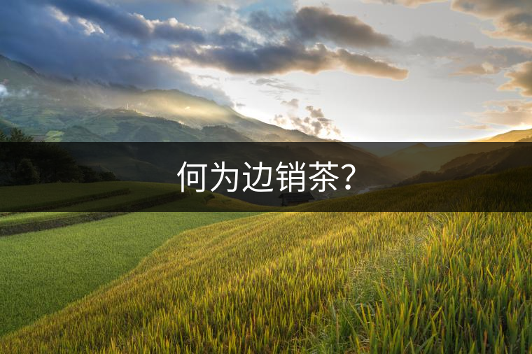 何為邊銷茶？