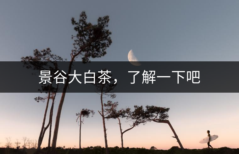 景谷大白茶，了解一下吧