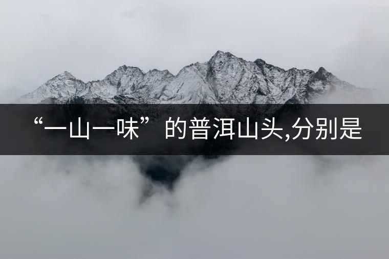 “一山一味”的普洱山頭,分別是什么味? “一山一味”的普洱山頭,分別是什么味?