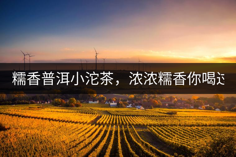 糯香普洱小沱茶，濃濃糯香你喝過嗎？