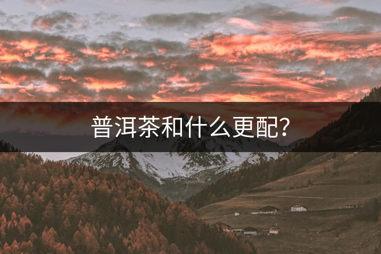 普洱茶和什么更配？