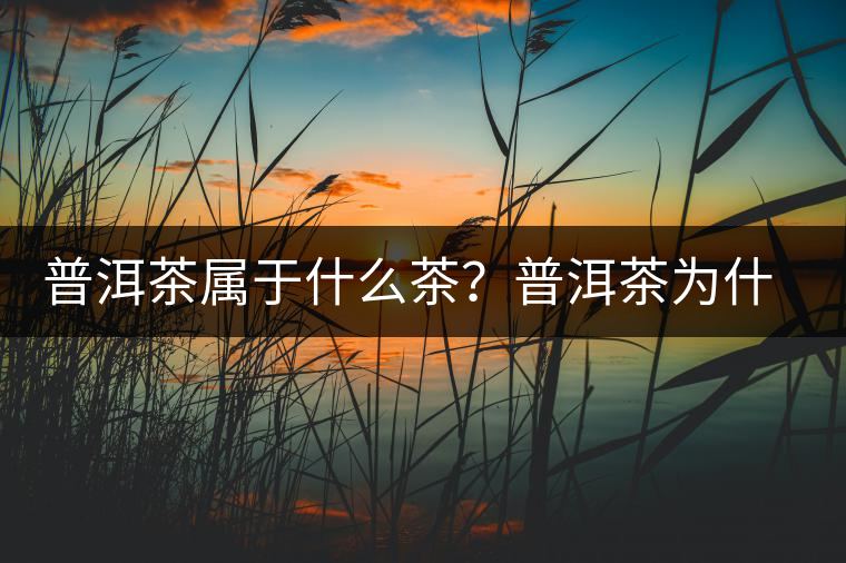 普洱茶屬于什么茶？普洱茶為什么會(huì)越陳越香？