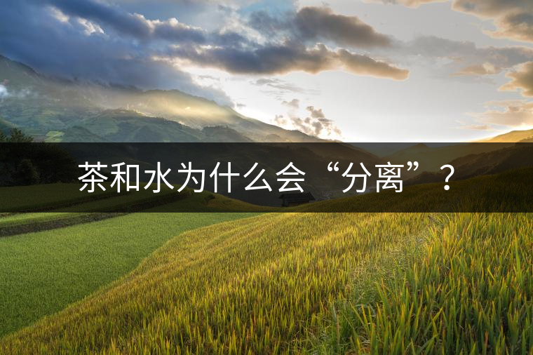 茶和水為什么會“分離”？