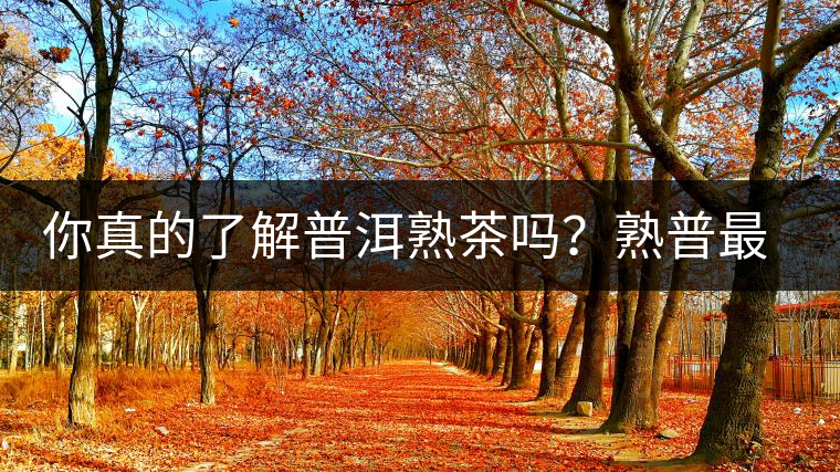 你真的了解普洱熟茶嗎？熟普最詳細(xì)的揭秘都在這里了。