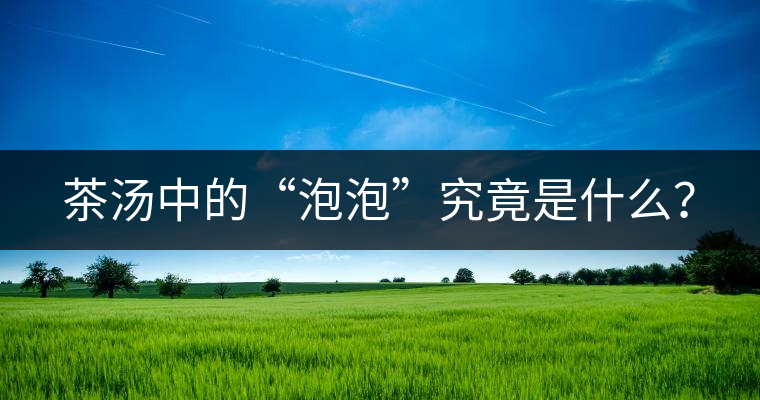 茶湯中的“泡泡”究竟是什么？