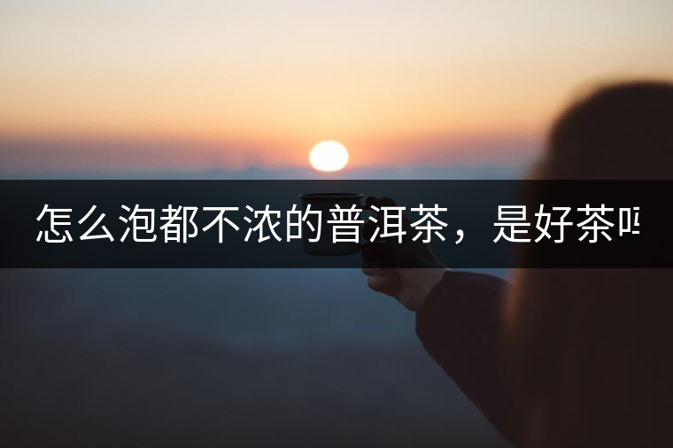 怎么泡都不濃的普洱茶，是好茶嗎？