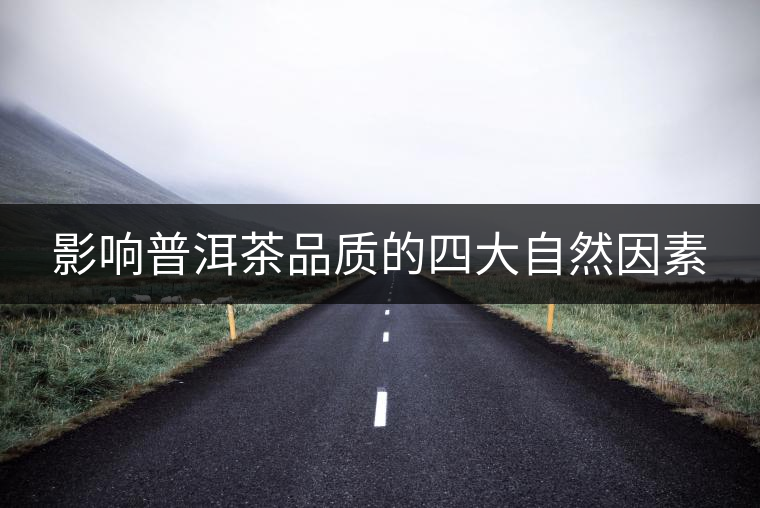 影響普洱茶品質(zhì)的四大自然因素