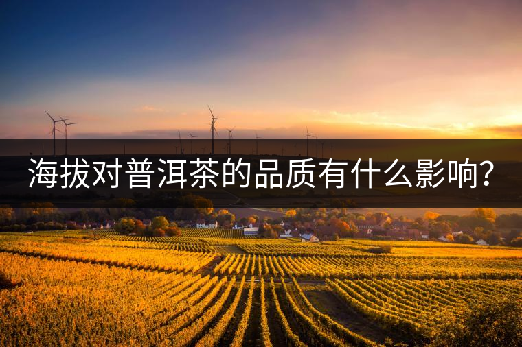 海拔對(duì)普洱茶的品質(zhì)有什么影響？