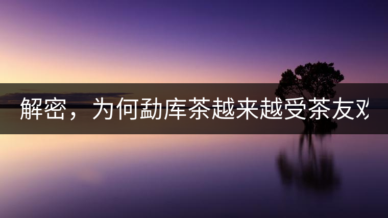 解密，為何勐庫茶越來越受茶友歡迎！