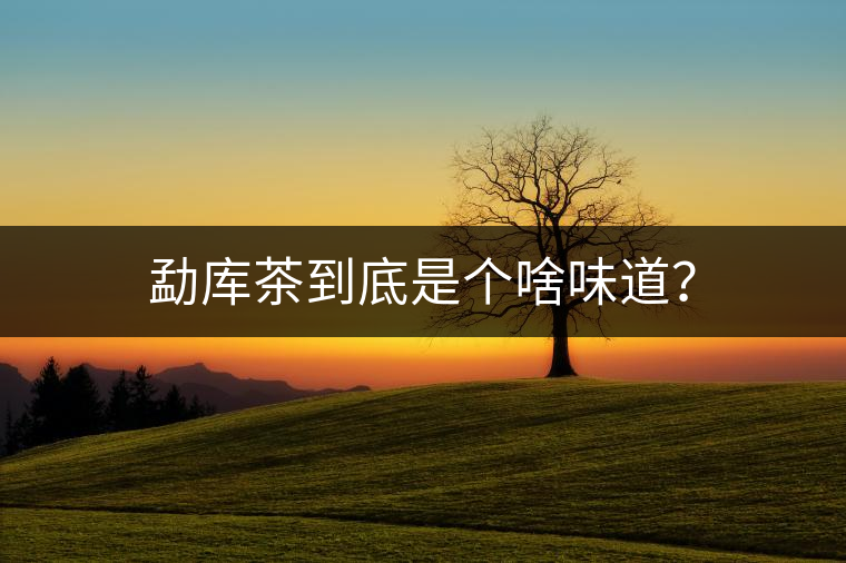 勐庫茶到底是個啥味道？